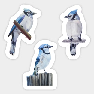 Painted Blue Jay set Sticker